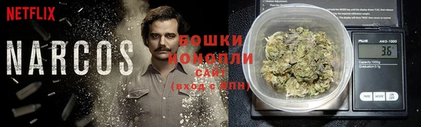 спиды Корсаков