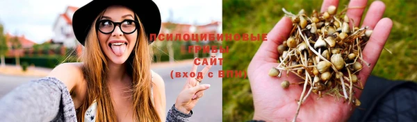 герыч Козловка