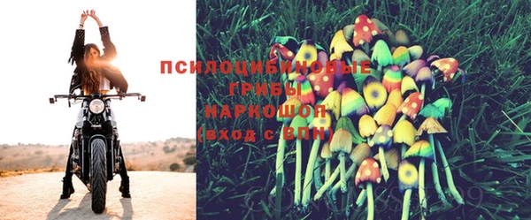 синтетический гашиш Кодинск