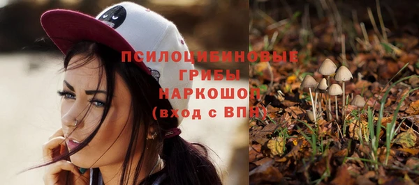 спиды Корсаков
