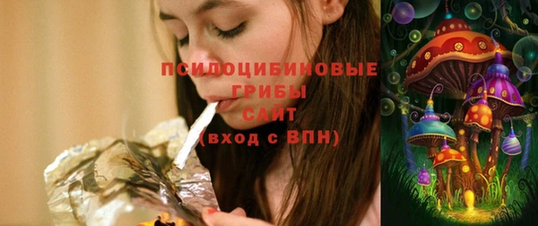 герыч Козловка