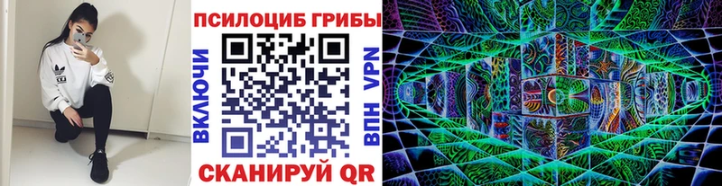 где найти наркотики Кинешма мориарти телеграм Псилоцибиновые грибы Cubensis